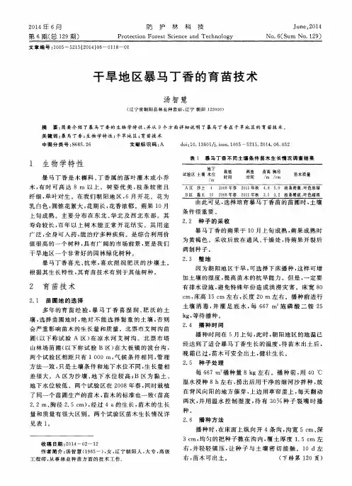 干旱地区暴马丁香的育苗技术
