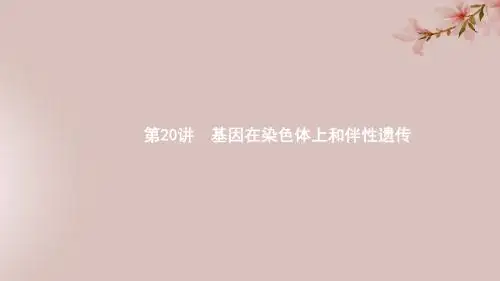 (新人教版)2020版高考大一轮复习第6单元孟德尔定律与伴性遗传20基因在染色体上和伴性遗传课件(生物)