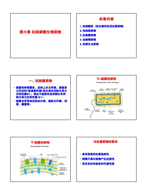 中山大学药学综合课件-第六章 抗病源微生物药物(20071003)