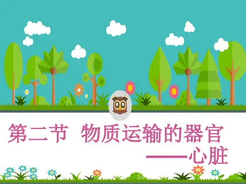 血液运输的器官——心脏PPT优秀课件