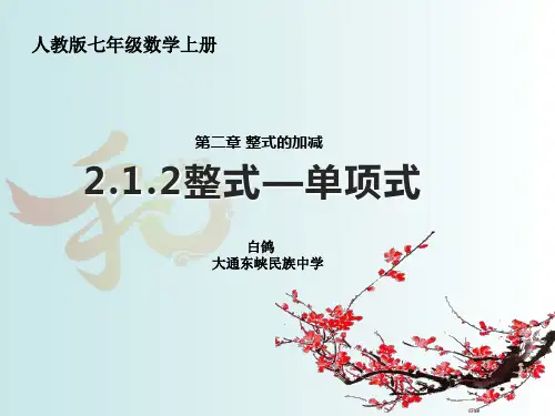 2.1.1单项式