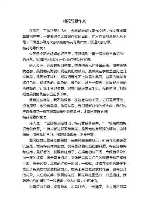 梅花写景作文8篇