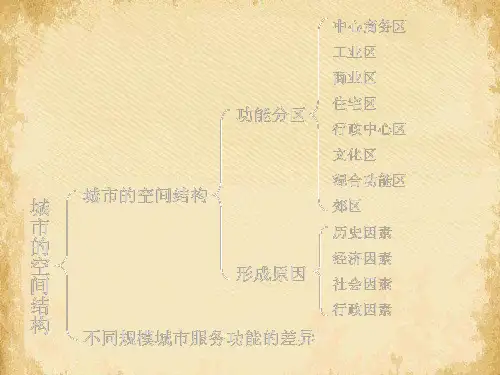 城市的空间结构与城市化ppt3 中图版