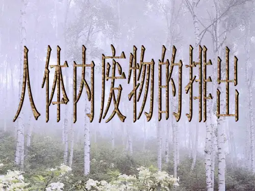 人教版初中生物七年级下册人体内废物的排出-课件