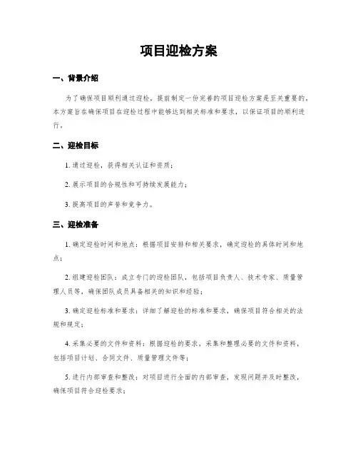 项目迎检方案