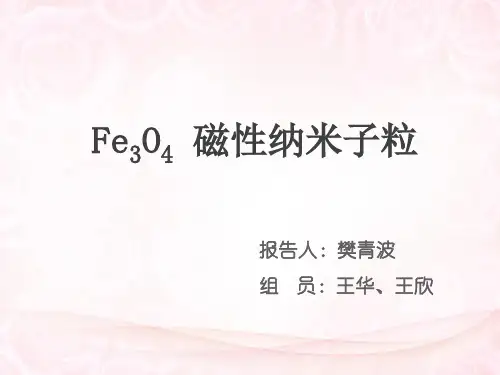 四氧化三铁磁性纳米粒子 (1)概要