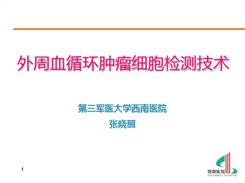 CTC检测术