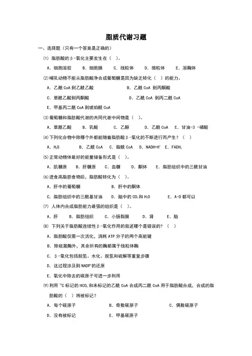 脂质代谢习题