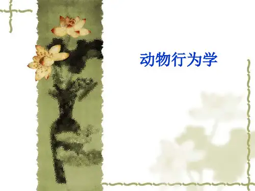 动物行为学 黄成新版