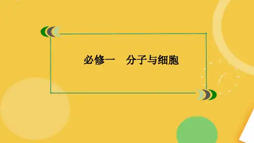 细胞中的核酸糖类和脂质.完整资料PPT