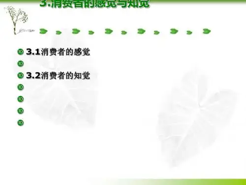 消费者的感觉与知觉(ppt76张)