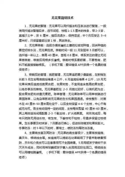 无花果栽培技术