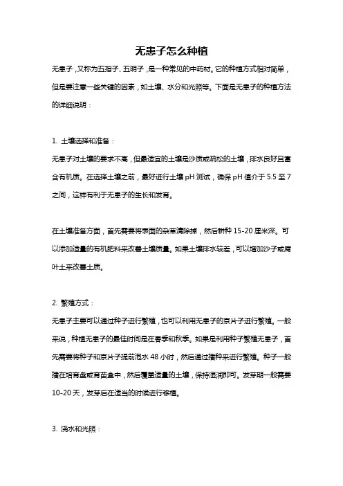 无患子怎么种植