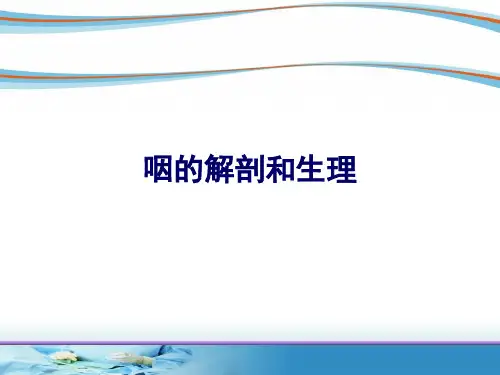 咽的解剖和生理课件
