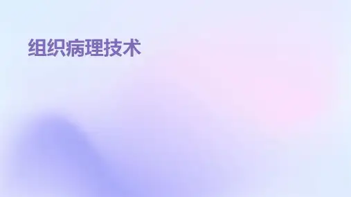 《组织病理技术》课件