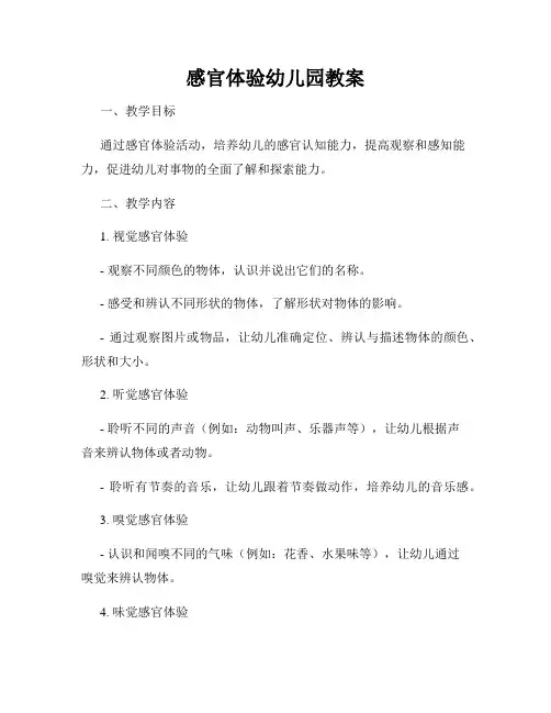 感官体验幼儿园教案
