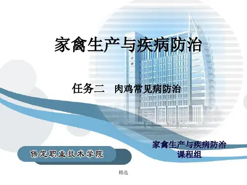 家禽生产与疾病防治演示课件.ppt