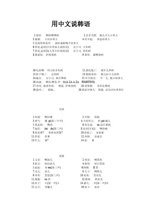 [VIP专享]用中文说韩语