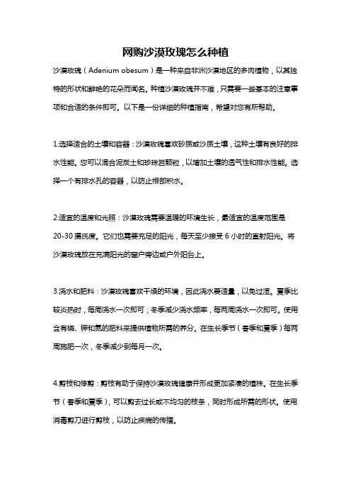 网购沙漠玫瑰怎么种植