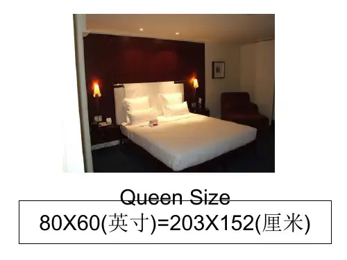 Room type。25页PPT