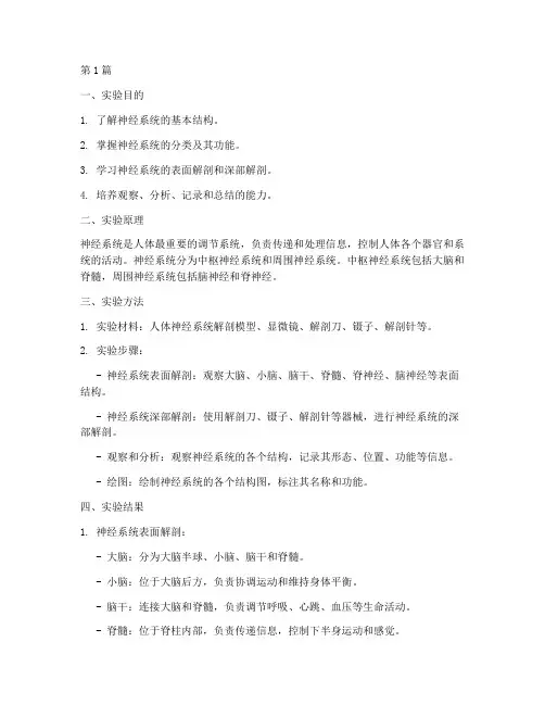 神经解剖实验报告(3篇)