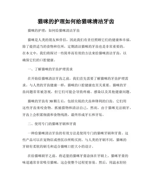 猫咪的护理如何给猫咪清洁牙齿