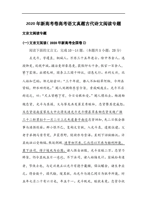 2020年新高考卷高考语文真题古代诗文阅读专题