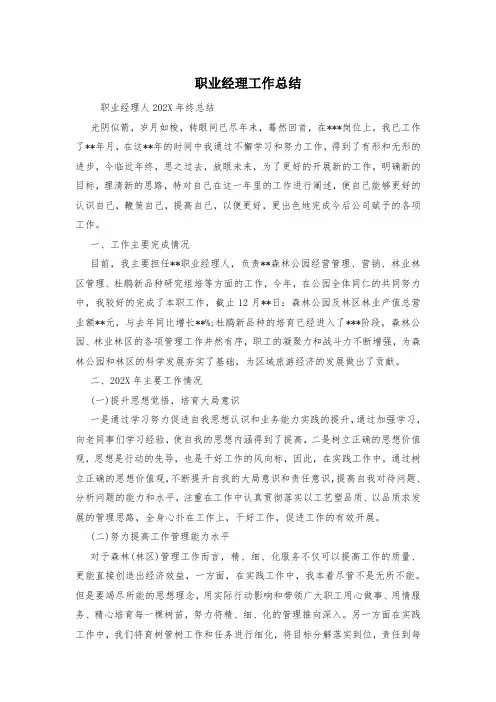 职业经理工作总结