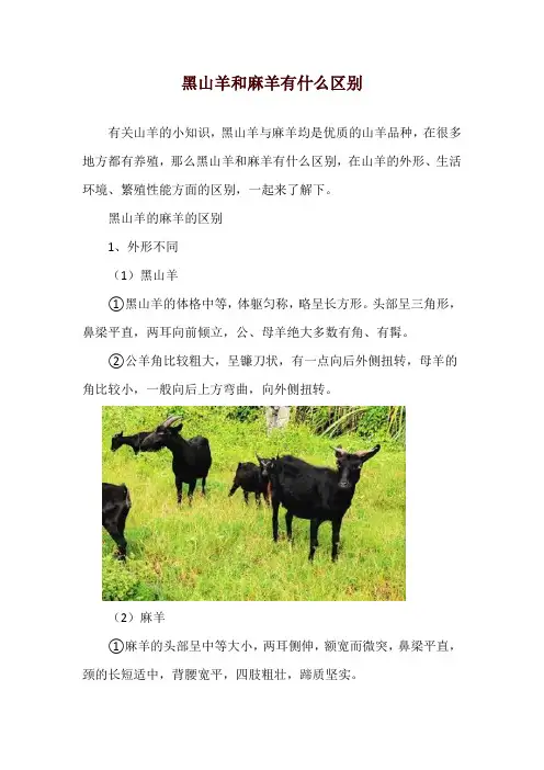 黑山羊和麻羊有什么区别