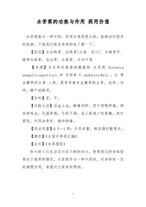 水苦荬的功效与作用 药用价值