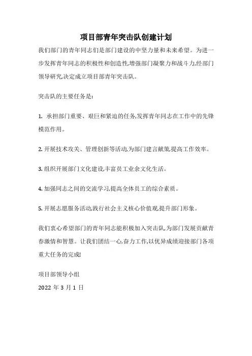 项目部青年突击队创建计划
