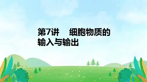 第7讲细胞物质的输入与输出-备战2024年高考生物一轮复习精讲课件(新教材)(1)