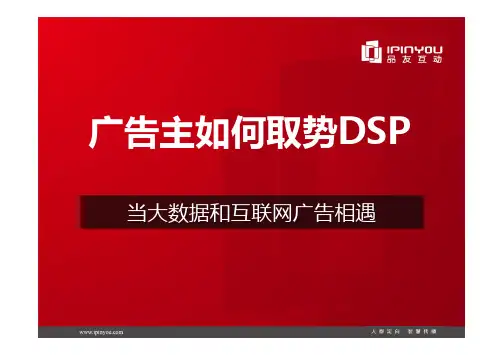 王爱飞：当大数据与互联网广告相遇-广告主如何取势DSP(苏州赢时代) - new