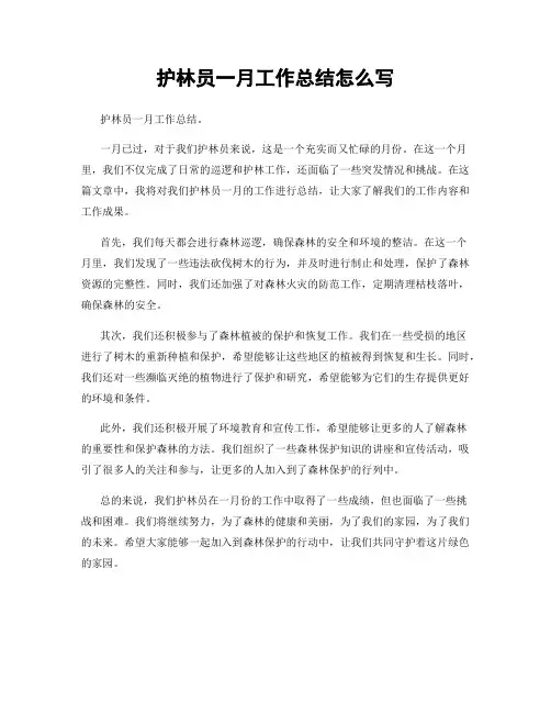 护林员一月工作总结怎么写