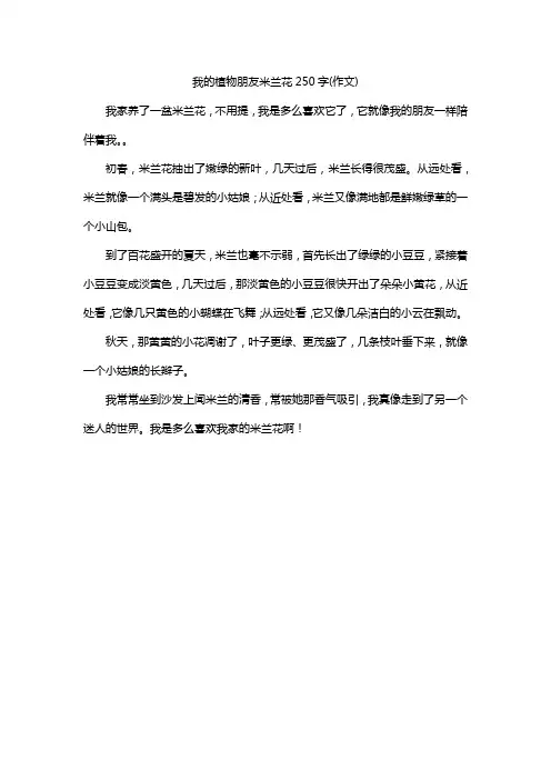 我的植物朋友米兰花250字(作文)