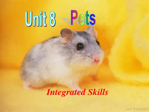 新牛津译林版七年级英语下册Unit 8 Pets Integrated skills 优质课课件(共63张PPT)