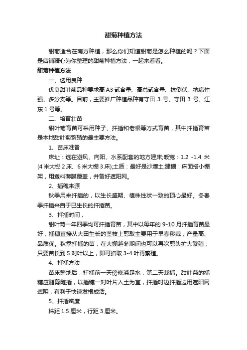 甜菊种植方法