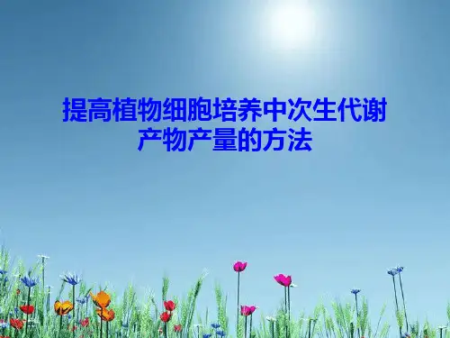 植物次生代谢产物生产.ppt
