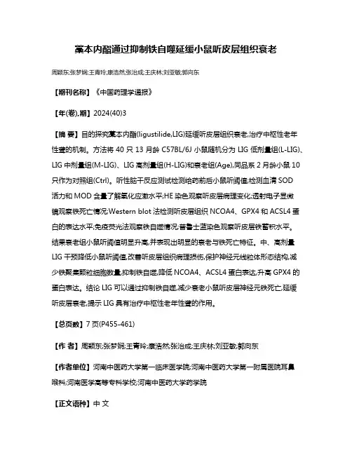 藁本内酯通过抑制铁自噬延缓小鼠听皮层组织衰老