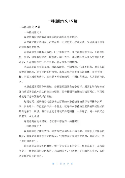 一种植物作文15篇