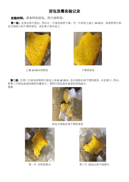 面包霉变对比实验
