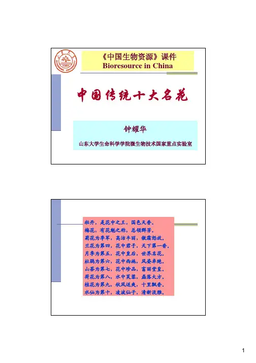中国传统十大名花