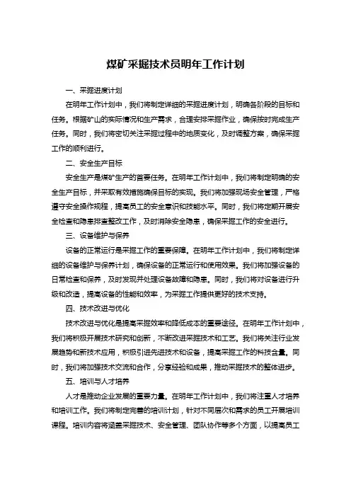 煤矿采掘技术员明年工作计划