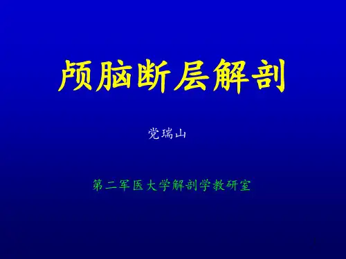 2-颅脑断层PPT课件