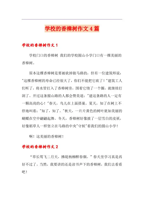 学校的香樟树作文4篇