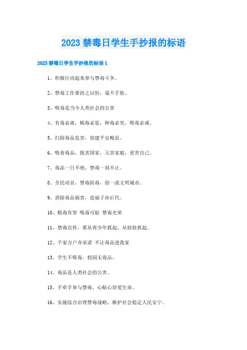 2023禁毒日学生手抄报的标语