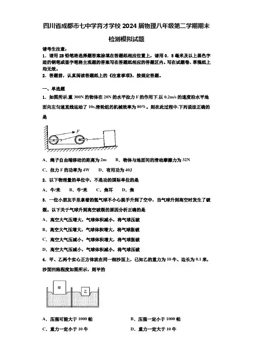 四川省成都市七中学育才学校2024届物理八年级第二学期期末检测模拟试题含解析