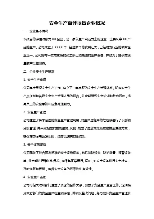 安全生产自评报告企业概况