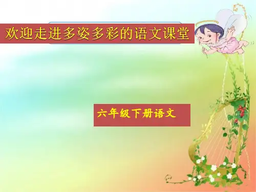 六年级下册语文课件 第三单元知识点总结及练习(共41张PPT) 人教部编版