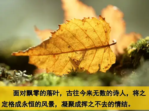人教版高中语文必修5-9《说“木叶”》  课件           (共47张PPT)